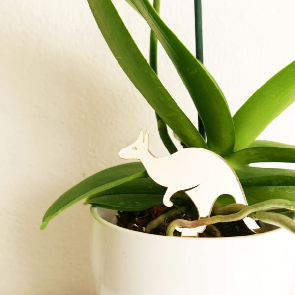 CANGURO. Animali esotici per piante in vaso | decorazioni per piante in acrilico oro | BiCA-Good Morning Design