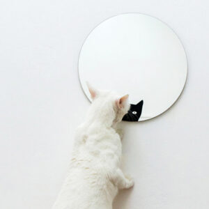 Specchio tondo decorativo con gatto | La chatte | Mirror | Morena Fortino | BiCA - Good Morning Design