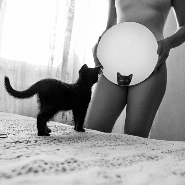 la chatte | Mirror | photo by Morena Fortino